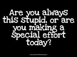 are-you-always-this-stupid-or-are-you-making-a-special-effort-today.jpg via Relatably.com
