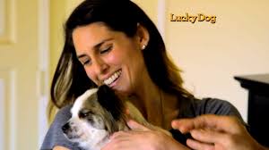 Lucky Dog Episodes - Lucky Dog Full Episode Guides from Season 1 on CBS | TVGuide.com - CBS_LUCKY_DOG_3112_IMAGE_640x360