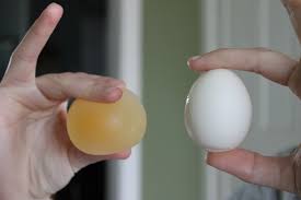 Image result for Rubber egg image