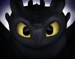Image result for night fury toothless in a house