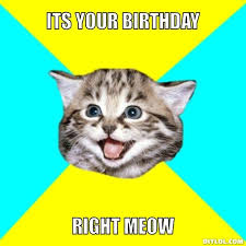 Funny Happy Birthday Cat Meme &amp; Grumpy Cat | Why Are You Stupid? via Relatably.com