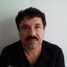Image result for el chapo