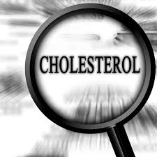 The Benefits of High Cholesterol - Blog and News - Diverse Health Services, PLLC - images?q=tbn:ANd9GcTaC7-CIds--YOdHnnlXiGNr1gfM9SWj4aVlxYdc6jarHOxmAbG8Q
