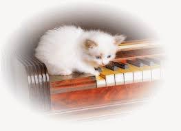 Résultat de recherche d'images pour "gif chat musique"