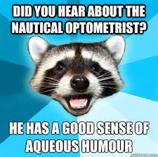 Did you hear about the nautical optometrist? he has a good sense ... via Relatably.com
