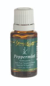 Image result for peppermint oil