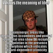 Life, what is the meaning? - quickmeme via Relatably.com