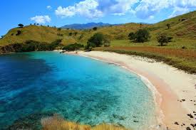 Hasil gambar untuk gambar pink beach pulau komodo