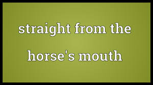 Image result for the horse's mouth + images
