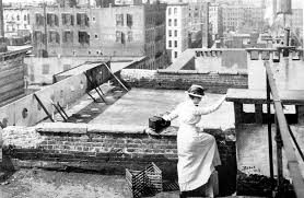 Image result for images old 19th century NYC building rooftop