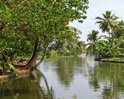 Kumarakom backwaters in Kerala