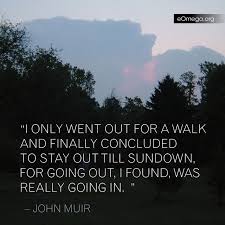 John Muir | Quotes | Pinterest | John Muir, John Muir Quotes and ... via Relatably.com