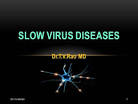 slow virus