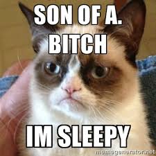 son of a. bitch im sleepy - Grumpy Cat | Meme Generator via Relatably.com