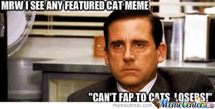 Cat Memes Are Lame by recyclebin - Meme Center via Relatably.com