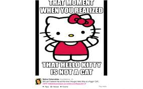 hello-kitty-not-cat-memes_3.jpg via Relatably.com