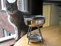 Image result for cats with barbecue grill