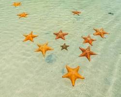 Gambar Starfish Beach in Panama