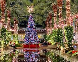 Image of Fairmont Scottsdale Princess, Scottsdale, Arizona, decorated for the holidays with lights