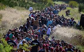 Image result for europe refugee crisis