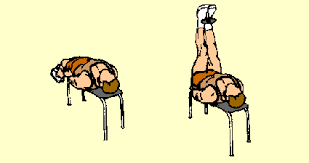 Image result for leg raises with dumbbell