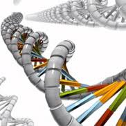 DNA Is a Structure That Encodes Biological Information | Learn ...