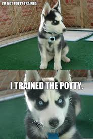 i&#39;m not potty trained. i trained the potty. - Insanity puppy ... via Relatably.com