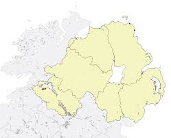 Trichomanes speciosum Killarney Fern :: Northern Ireland's Priority ...