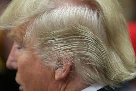 Image result for trump hair