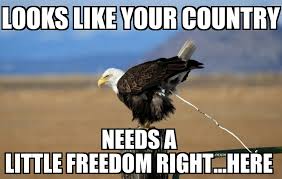Murica eagle likes to spread freedom - Meme Fort via Relatably.com