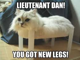 Memes Vault Best Cat Memes Ever via Relatably.com