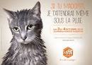 Adopter un chat - SPA