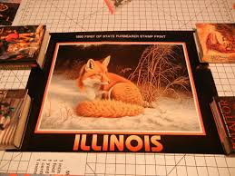 Image result for Orange 1990 Illinois State of