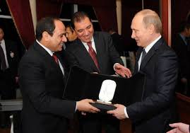 Image result for Egyptian nuclear plant