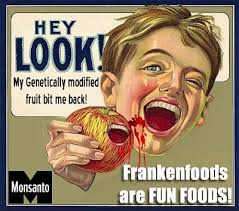 Image result for GMO scare