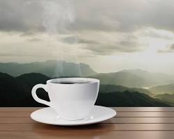 Image of cup of coffee with steam rising in the morning sunlight