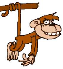 Kết quả hình ảnh cho con khỉ