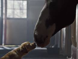 News about budweiser commercial popular in 2015