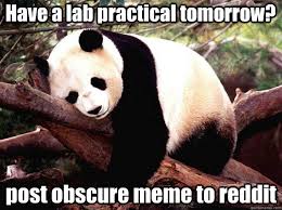 Procrastination Panda memes | quickmeme via Relatably.com