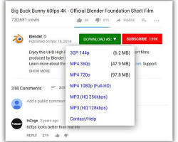 Easy YouTube Video Downloader Express extension