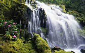 Image result for waterfall