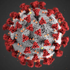 Coronavirus in Texas: Whats new for us