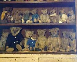 Image of Vintage teddy bear collection