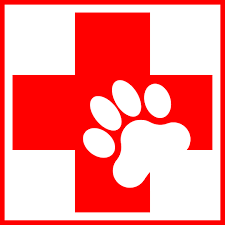 Helping Scottsdale Pet Owners Prepare Pet First Aid Supplies