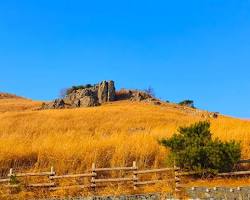 울산 울주군 간월재 억새군락지 풍경, AI로 생성