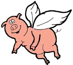 Image result for when pigs fly