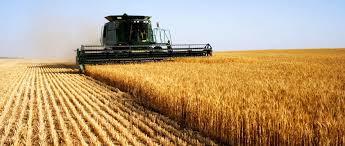 Image result for IMPORTANCE OF AGRICULTURE T0 KENYA'S ECONOMY