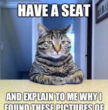 Business Cat meme funny | Why Are You Stupid? via Relatably.com