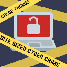 Bite Sized Cyber Crime
