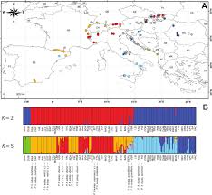 Sample sites and genetic structure of Picris hieracioides and P ...